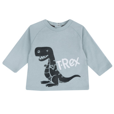 Реглан T-Rex во Львове