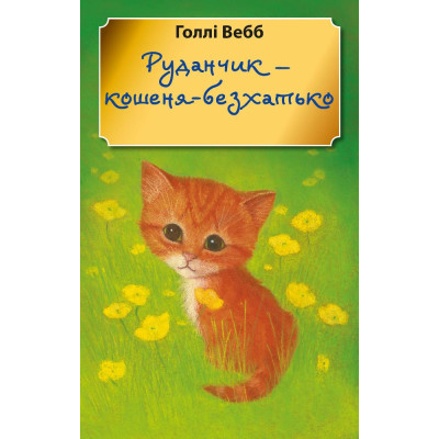 Руданчик — кошеня-безхатько (м'яка обкладинка) в Виннице