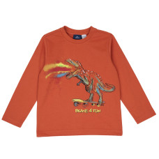 Реглан Charley