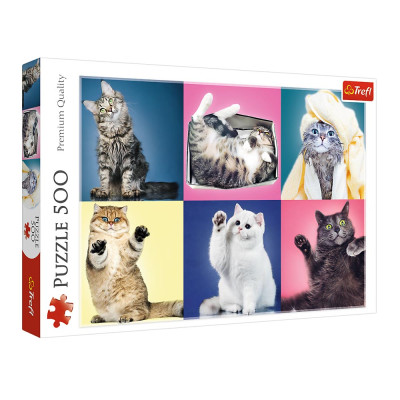 Пазли Trefl Котики 500 елементів (37377) в Виннице Пазли Trefl Котики 500 елементів (37377) в Виннице