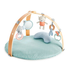 Килимок розвиваючий Ingenuity Cozy spot (74451121263)