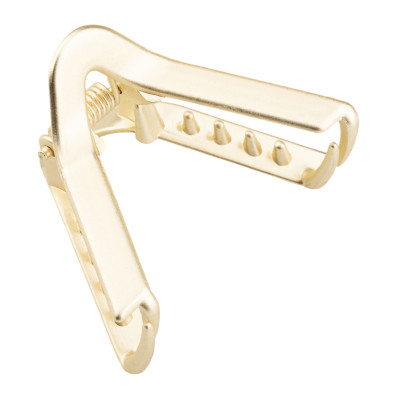 Заколка для волосся Kameo-Bis золотиста (UH717630) в Ивано-Франковске Заколка для волосся Kameo-Bis золотиста (UH717630) в Ивано-Франковске