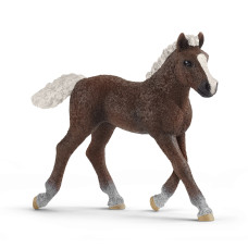 Ігрова фігурка Schleich Шварцвальдське лоша (13899)