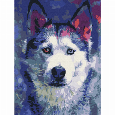 Картина за номерами Brushme Погляд Хаскі (RBS51460) в Сумах