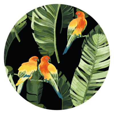 Картина за номерами Brushme Папуги в тропіках (RC00018M) Картина за номерами Brushme Папуги в тропіках (RC00018M)