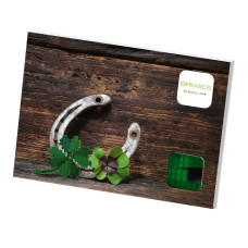 Конструктор BRIXIES Листівка Чотирилисник 79 деталей (220.021)