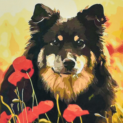 Алмазна картина Strateg Песик у маковому полі 30 х 30 см (4823113868970/4HEE13812) Алмазна картина Strateg Песик у маковому полі 30 х 30 см (4823113868970/4HEE13812)