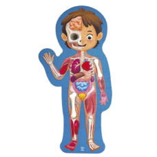 Пазл Hape Тіло людини 60 елементів (E1635)