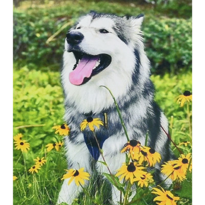 Алмазна картина Strateg Мить щастя 30х40 см (4823113868987/14HEG88137) в Черкассах Алмазна картина Strateg Мить щастя 30х40 см (4823113868987/14HEG88137) в Черкассах