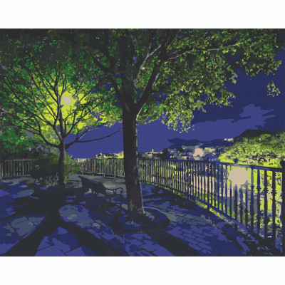 ​Картина за номерами Art Craft Нічний парк 40 х 50 см (10585-AC)