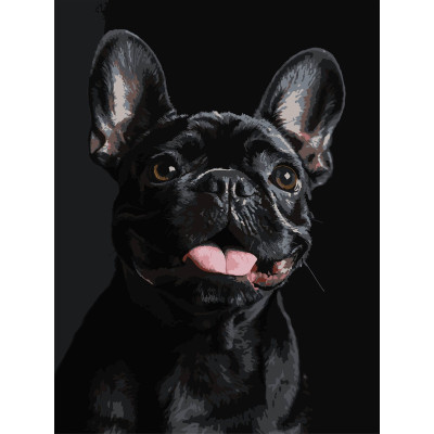 Картина за номерами Strateg Французький чорний бульдог на чорному фоні 30 х 40 (FH-32)