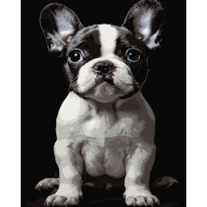 Картина за номерами Strateg Маленький пес на чорному фоні 40 х 50 см (AH1277)