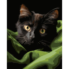 Картина за номерами Strateg Чорне маленьке кошеня на чорному фоні 40 х 50 см (AH1282)