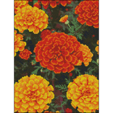 Алмазна картина Strateg Вогняні чорнобривці 30 х 40 см (FZ3040-24)