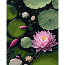 Картина за номерами Strateg Ранкове латаття  на чорному фоні 40 х 50 (AH1265)