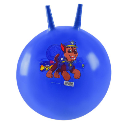 М'яч для фiтнесу Paw Patrol синій (PB2109/4) в Ивано-Франковске