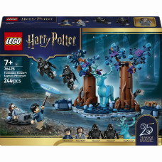 Конструктор Lego Harry Potter Заборонений ліс: Експекто патронум (76475)