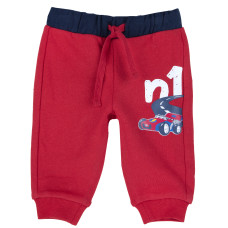 Брюки спортивні утеплені Luigi Red