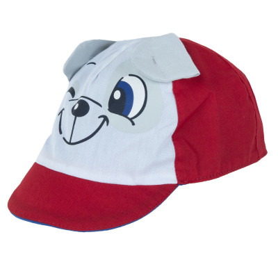 Кепка Rex в Луцке