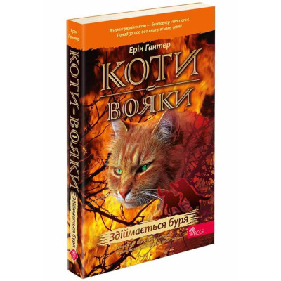 Коти вояки. Здіймається буря в Чернигове