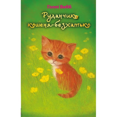 Руданчик — кошеня-безхатько в Черновцах