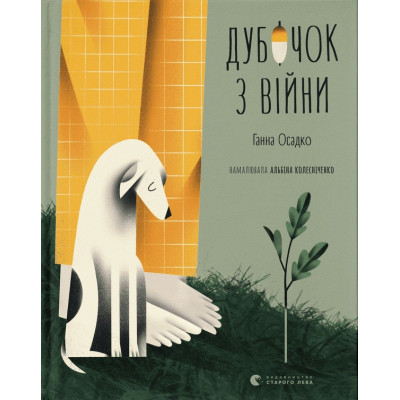 Дубочок з війни в Черновцах