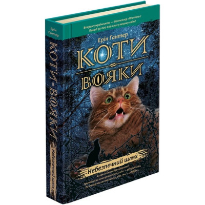 Коти Вояки. Небезпечний шлях в Чернигове