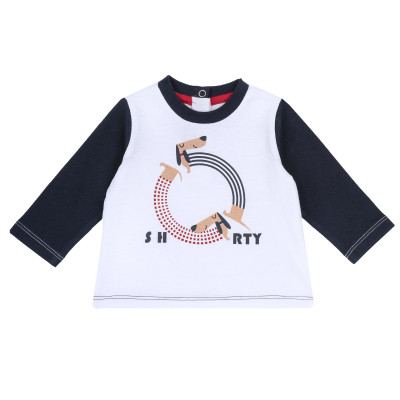 Реглан Enio в Житомире