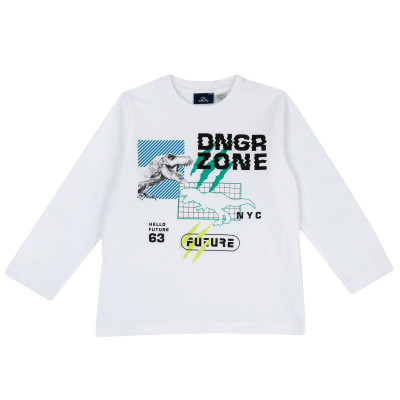 Реглан Dinorider